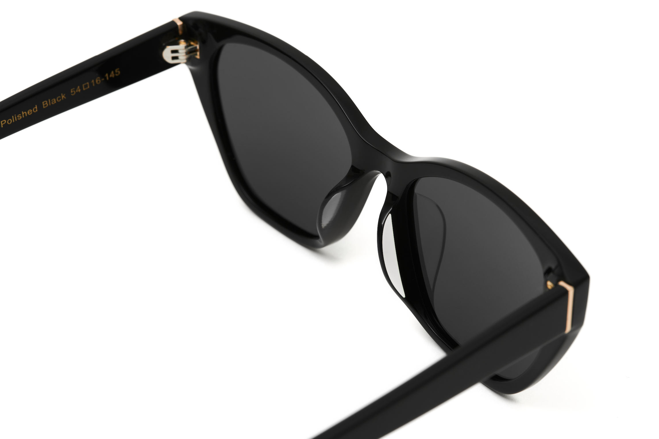 Close-up of KayTran Eyewear’s Taylor - Polished Black sunglasses with dark lenses and gold temple accents.