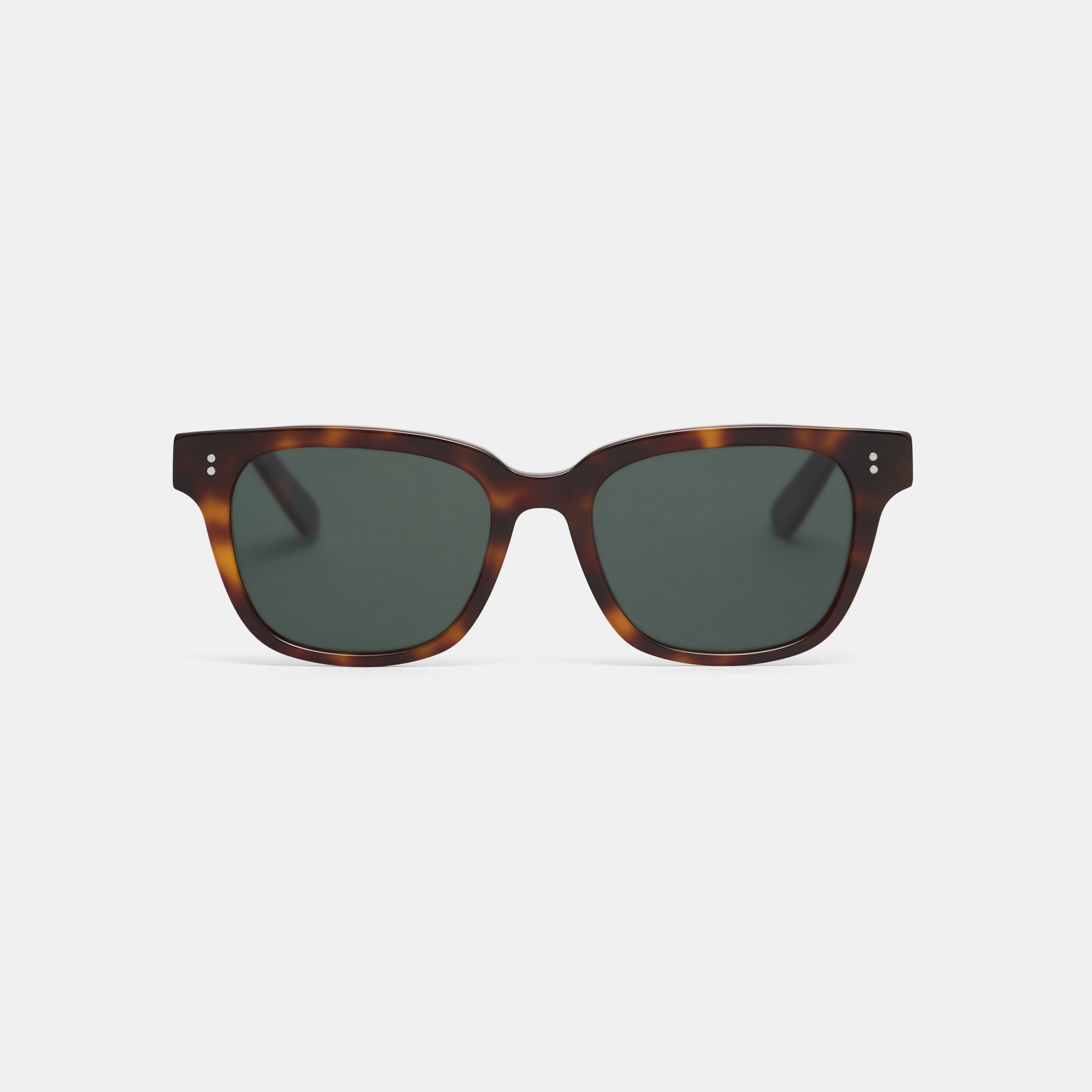 Tortoise Edit Sun – KayTran Eyewear