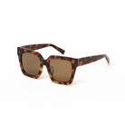 KayTran Eyewear Logan - Ember & Brown Lens square-frame sunglasses with dark lenses on a white background.