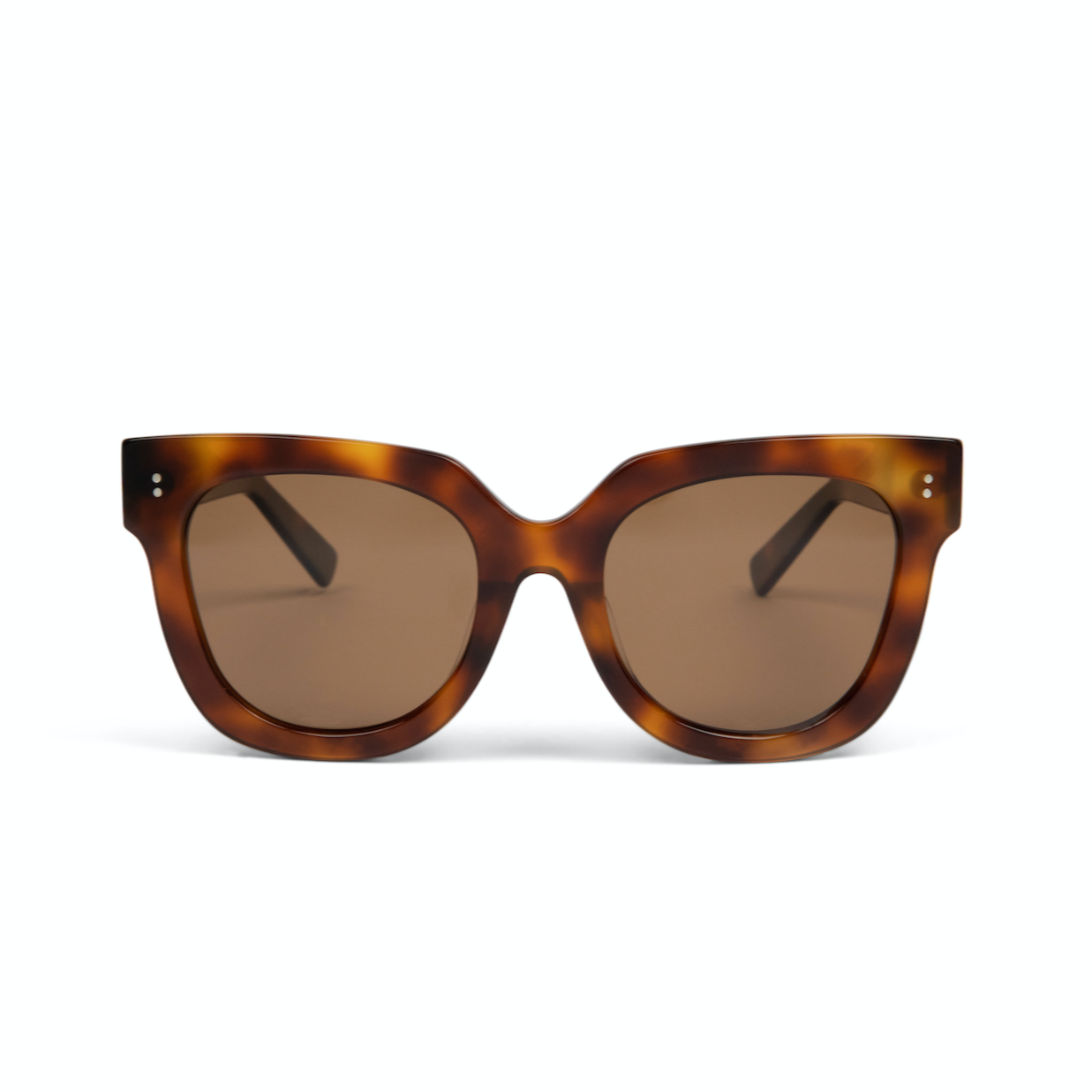 Rowan - Honey Tortoise